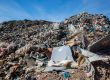 De la consommation à la déconsommation